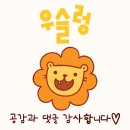 필필필(Feel Viel Fill)