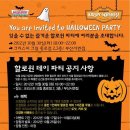 크리스피크림부산