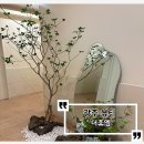 베트남참숯 | 첨단마사지 '더휴엠'에서 베트남A코스로 만성피로 풀고 온 솔직후기