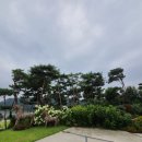 여주-0806 네이버블로그