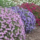 밀레니엄슈퍼 이미지