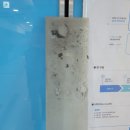 서도티에스 이미지