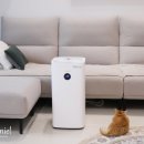 메이드지 이미지