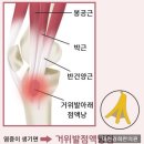 거여경희한의원 이미지