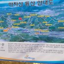 시온147 Daum카페