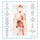 해오름자연요양병원 이미지