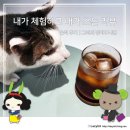 [상품 리뷰] 홈카페원두추천 레인디어 커피 컴퍼니 콜롬비아 핑크버번