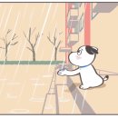 멍멍냠냠 이미지