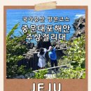제주중문대포해안주상절리대 | 제주 가볼만한곳 중문대포해안 주상절리대 관람 후기 (촬영 팁·포토존 포함)
