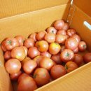 임천농장 이미지