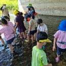 삼운사유치원 이미지