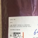 유튜브 시민기획단 1기 오리엔테이션 | [인턴] 15기 씨티-경희 NGO 인턴십 프로그램 인턴 합격 후기와 오리엔테이션 진행