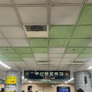 Dog차지 | 2025 제20회 부산불꽃축제 후기 || 명당좌석 차지 꿀팁 | 작년 불꽃축제와 비교 감상평