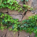 남해향토역사관 이미지