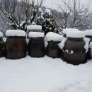 내린천 주말농장 이미지