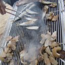 한림농장 이미지