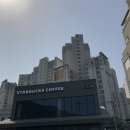 스타벅스커피 대구도원DT점