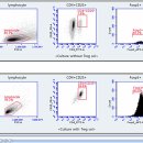 구로-구로-구로-1633 이미지