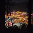 깊이울마을 | 포천 허브아일랜드 산타 야간 불빛동화축제 먹거리 박가네오리