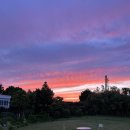 어 타이니 리틀피스 이미지