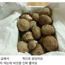 [명절선물]이슬송이버섯 당일2시출고 (마감) 이미지