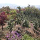 봉산권역 이미지