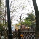 명석목장 이미지