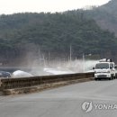 나왔다농장 이미지