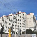 서수원프라자약국 Daum카페