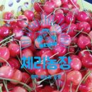 평택호길 이미지
