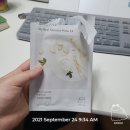 포돌이로 77 | 9월 넷째주 두께바 일상