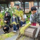 토당초등학교 이미지