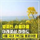 서교연등천길 네이버블로그