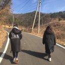 꿈에그린단식원 | "김천 꿈에그린단식원" 리얼 체험 후기