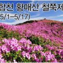 고고싱 - 세종특별자치시 | 고고싱