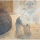 강남대로83길 53 이미지