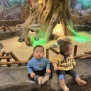 라라피쉬 | 10개월 아기랑 명지 라라쥬동물원ㅣ부산 아기랑 가볼만한곳 내돈내산 추천