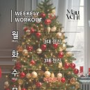 모브핏(Mauve Fit) | [방배PT 여성전용 모브핏] 그룹운동 12월 넷째 주 프로그램 안내