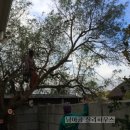 아름드리민박 이미지