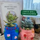 반려식물 원예화분 공예 이미지