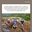 법인웰빙마을