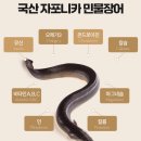 대동수산 | 보양식으로 최고! 함평 대동수산 자포니카 장어 먹어본 솔직 후기 💪