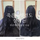 온베이스 헤어 | 마린시티미용실 <이숲헤어> 모발클리닉, 하이 디자이너 케어 제대로 받고 온 후기