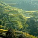 푸르른날 이미지