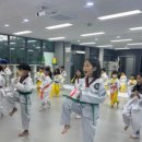 국가대표하늘태권도장 이미지