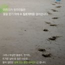 간단한 디자인으로 아프리카를 구한 적정기술 Q-drum(큐드럼).jpg 이미지