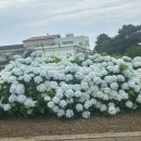 애월1급자동차공업사 이미지