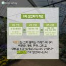 지랜드