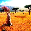 환상의섬 이미지