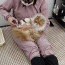 [미용 후기] 먼치킨 고양이 미용일기 치타와의 교감미용 (먼치킨미용, 먼치킨미용실)